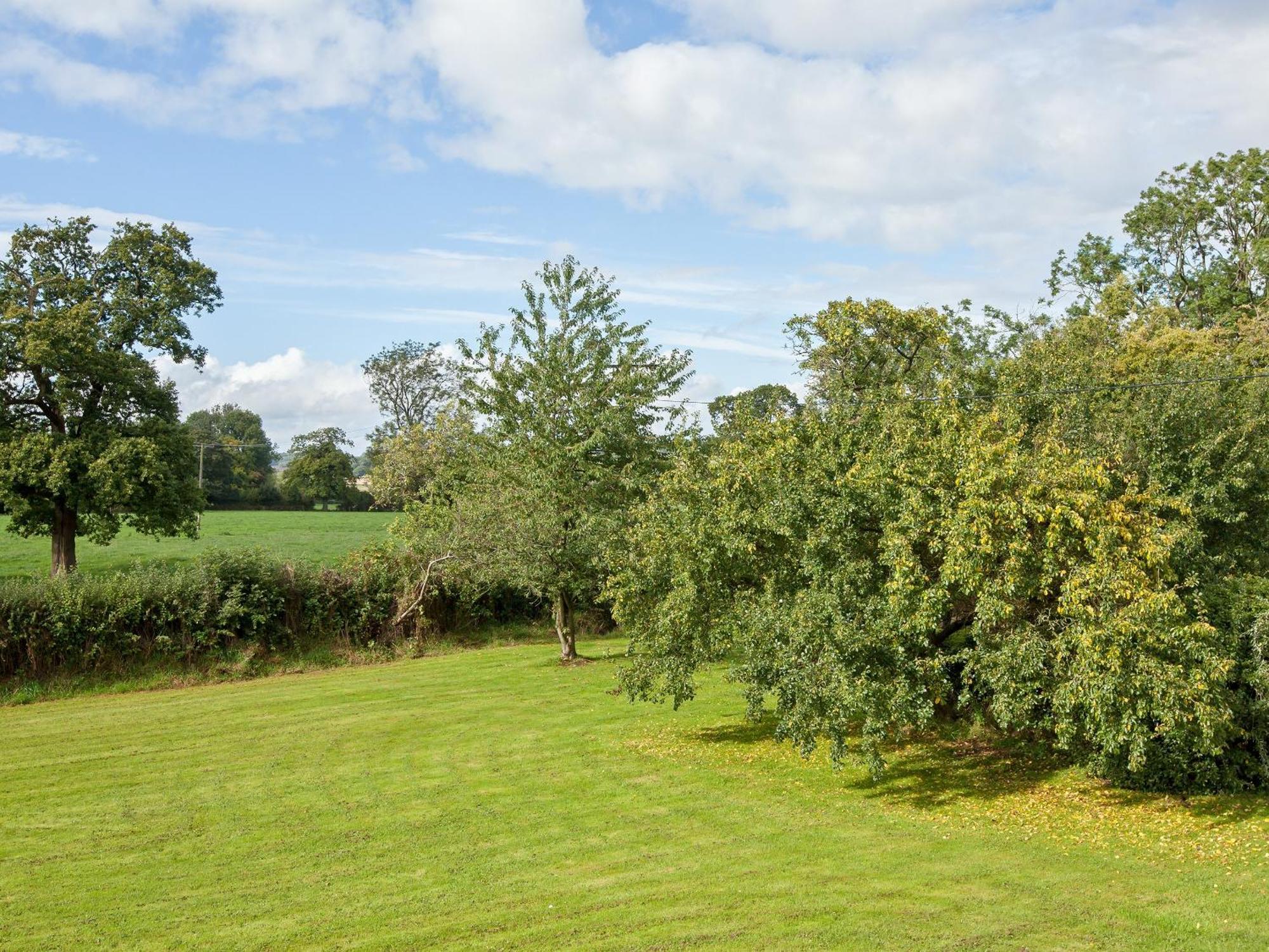 Fir Tree Cottage Standon Экстерьер фото